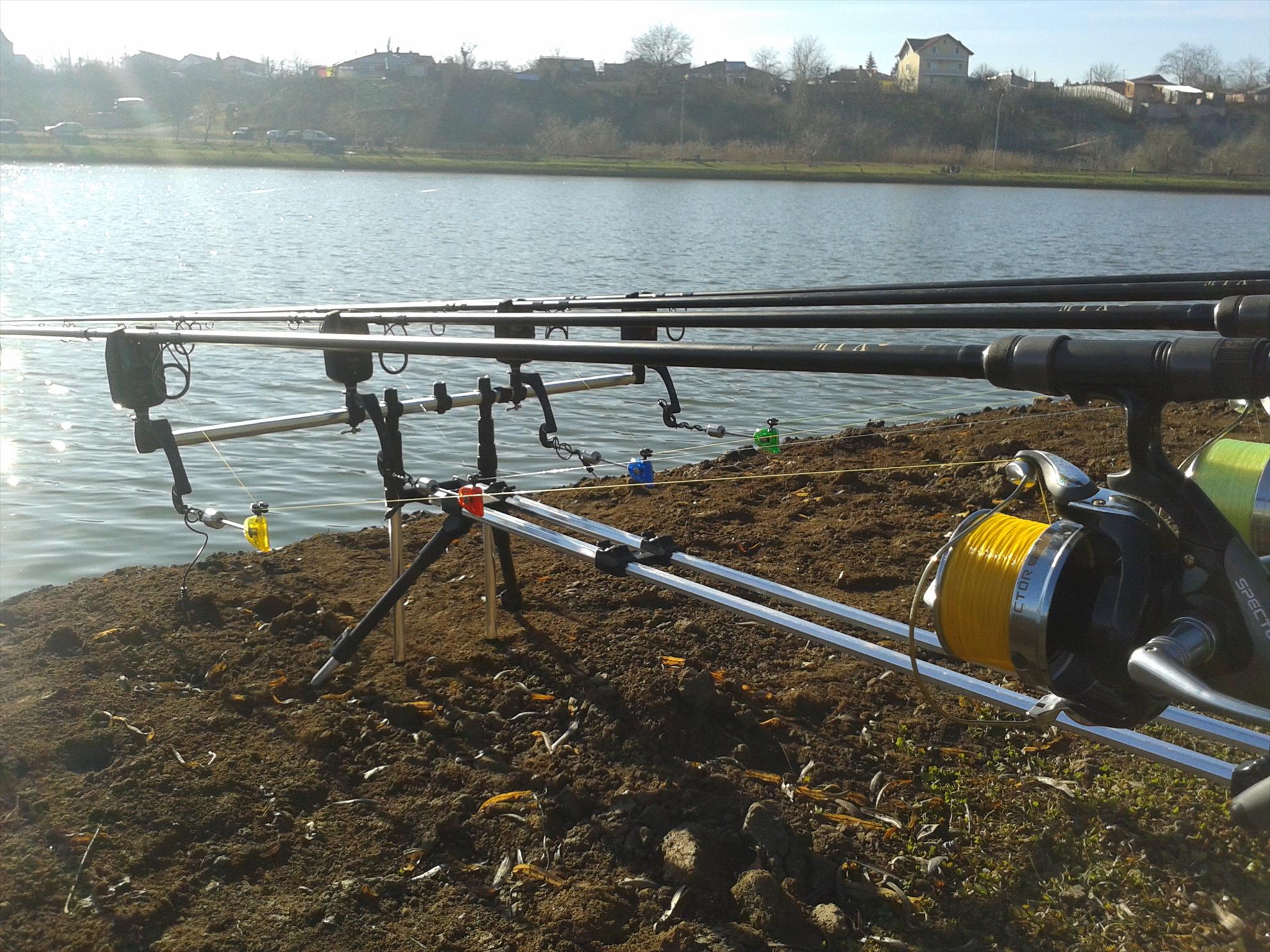 Florea Popestiului 11.01.2014 - 20140111110029.jpg